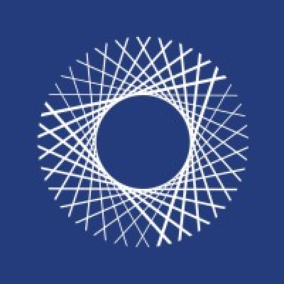 BlueVoyant logo