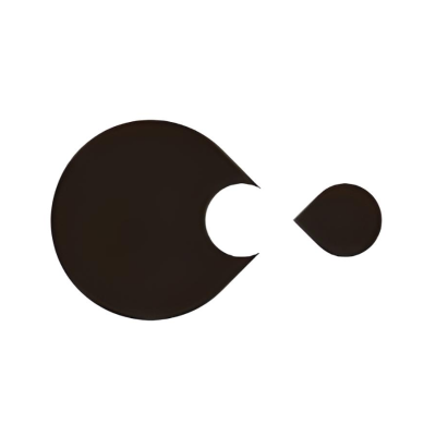 Black Sesame Technologies logo