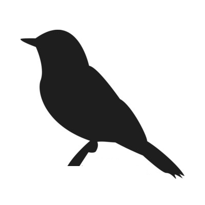Perch logo